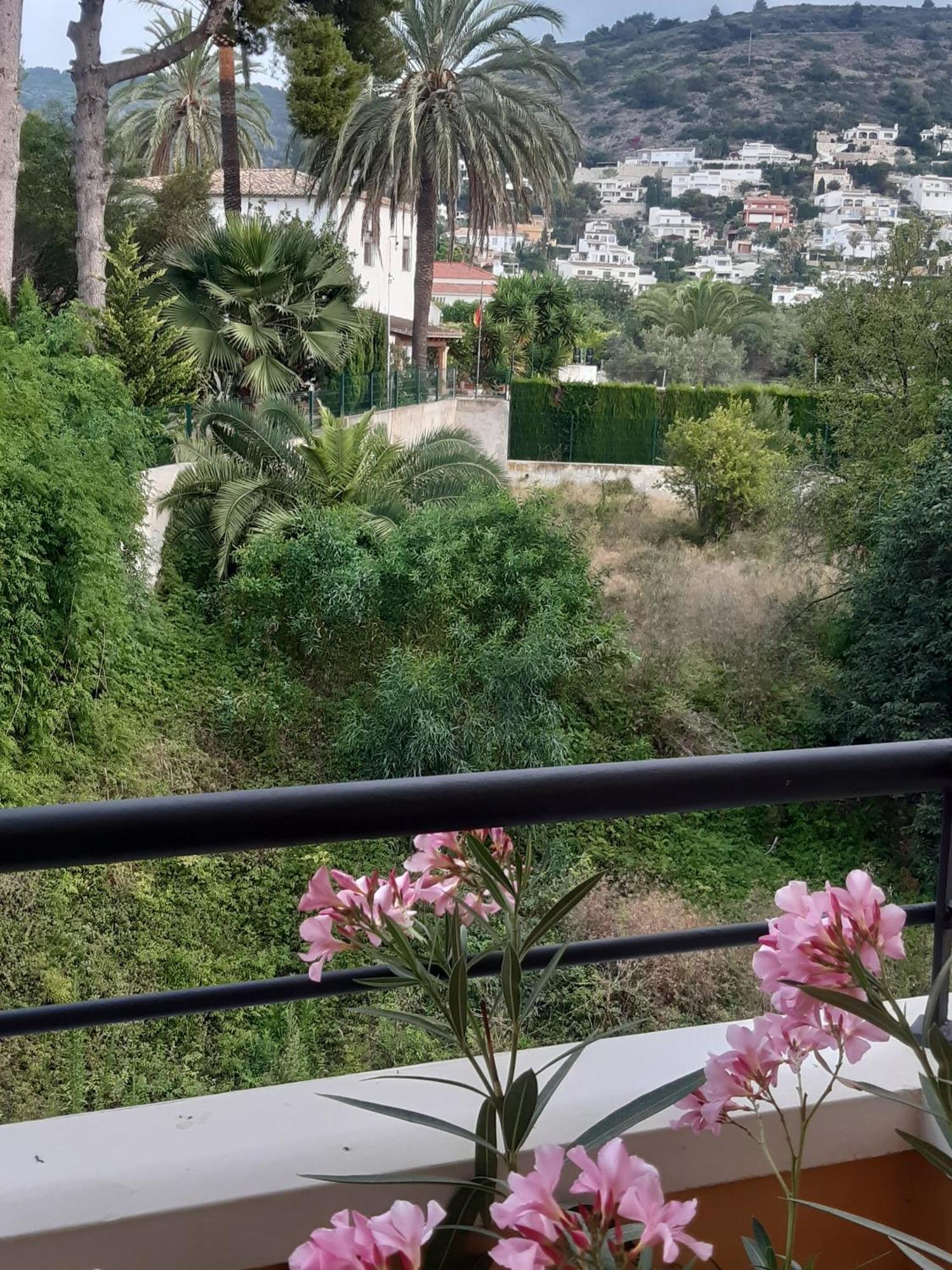 Central Apartment With Montgo View خافييا المظهر الخارجي الصورة